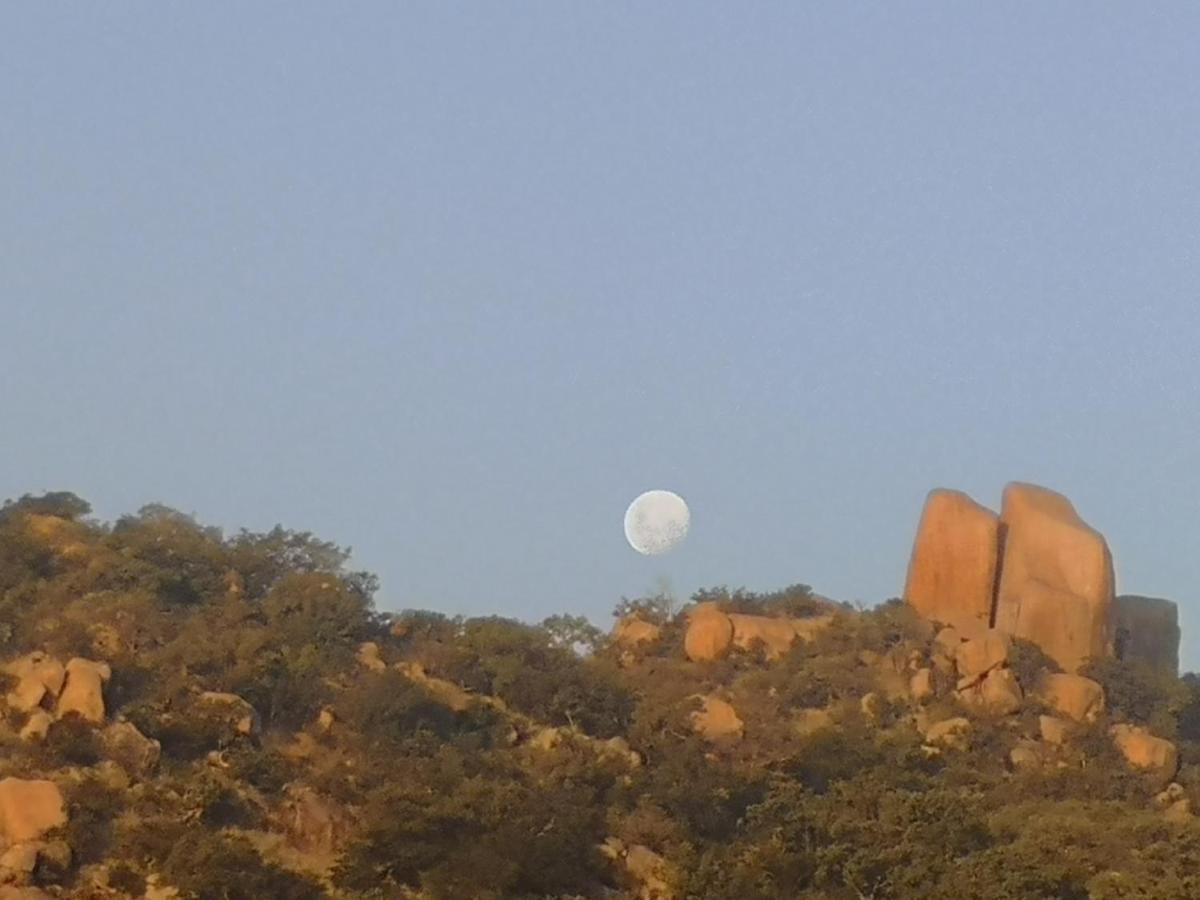 Boulders Safari Lodge 말레라네 외부 사진